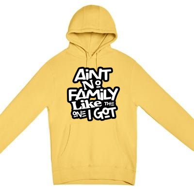 Ain't No Family Like The One I Got Matching Family Premium Pullover Hoodie