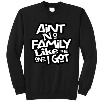 Ain't No Family Like The One I Got Matching Family Sweatshirt