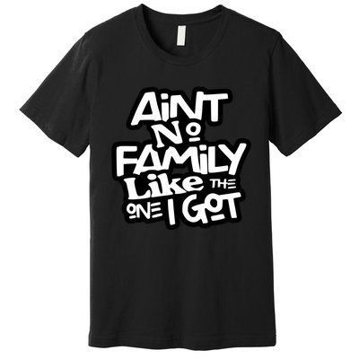 Ain't No Family Like The One I Got Matching Family Premium T-Shirt