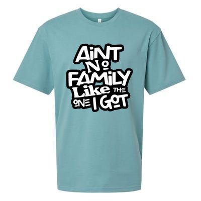 Ain't No Family Like The One I Got Matching Family Sueded Cloud Jersey T-Shirt