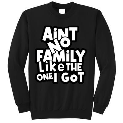 Ain't No Family Like The One I Got Matching Family Sweatshirt