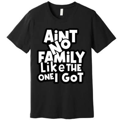 Ain't No Family Like The One I Got Matching Family Premium T-Shirt