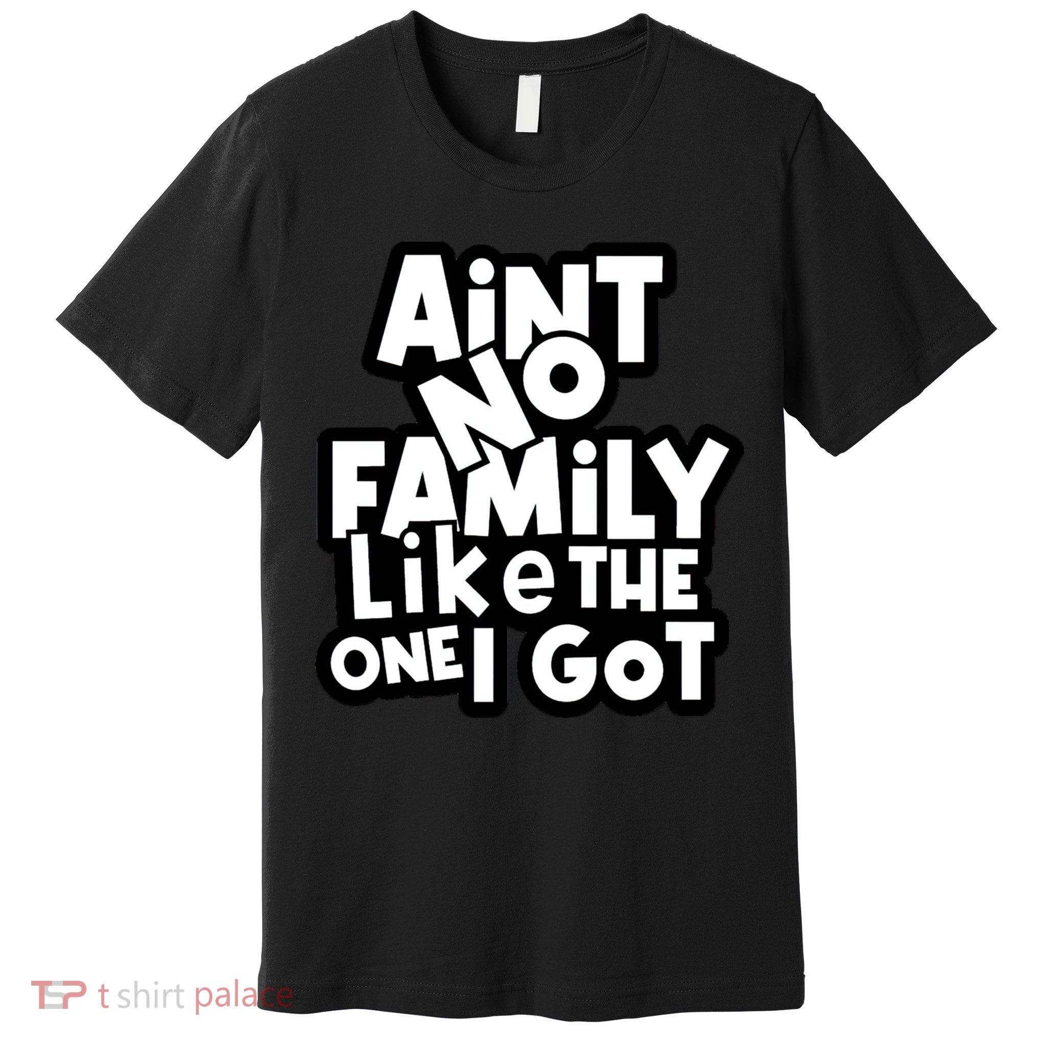 Ain't No Family Like The One I Got Matching Family Premium T-Shirt