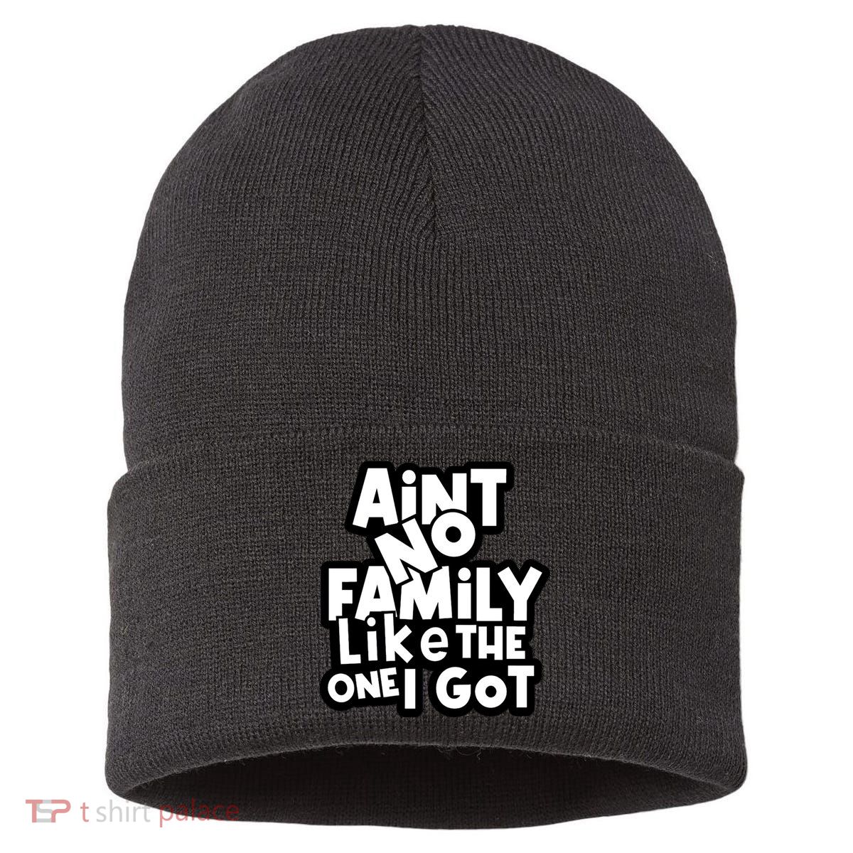 Ain't No Family Like The One I Got Matching Family Sustainable Knit Beanie