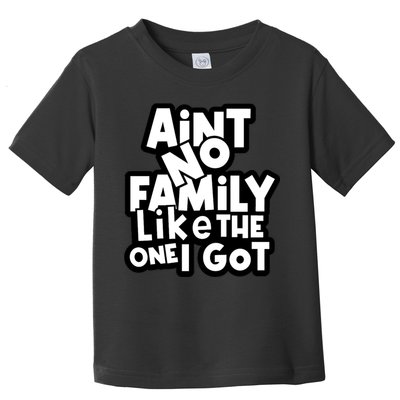 Ain't No Family Like The One I Got Matching Family Toddler T-Shirt