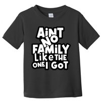 Ain't No Family Like The One I Got Matching Family Toddler T-Shirt