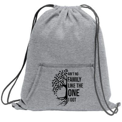 AinT No Family Like The One I Got Funny Family Reunion 2024 Sweatshirt Cinch Pack Bag