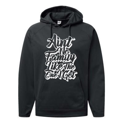 AinT No Family Like The One I Got Family Reunion 2024 Performance Fleece Hoodie