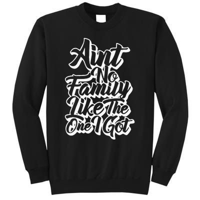 AinT No Family Like The One I Got Family Reunion 2024 Sweatshirt