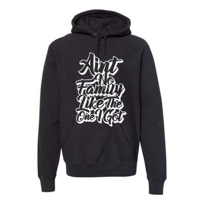 AinT No Family Like The One I Got Family Reunion 2024 Premium Hoodie