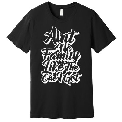 AinT No Family Like The One I Got Family Reunion 2024 Premium T-Shirt