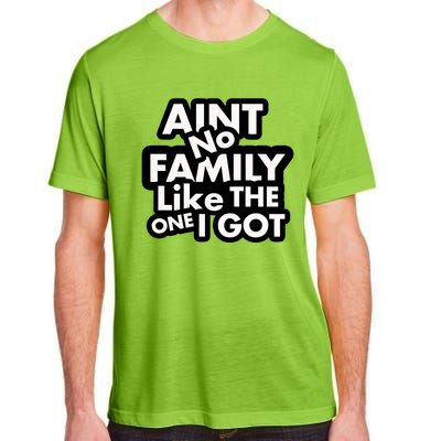 Ain't No Family Like The One I Got Adult ChromaSoft Performance T-Shirt