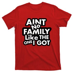 Ain't No Family Like The One I Got T-Shirt