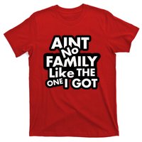 Ain't No Family Like The One I Got T-Shirt