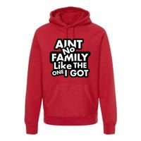 Ain't No Family Like The One I Got Premium Hoodie