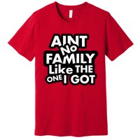 Ain't No Family Like The One I Got Premium T-Shirt