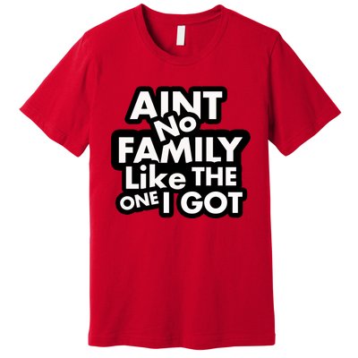 Ain't No Family Like The One I Got Premium T-Shirt