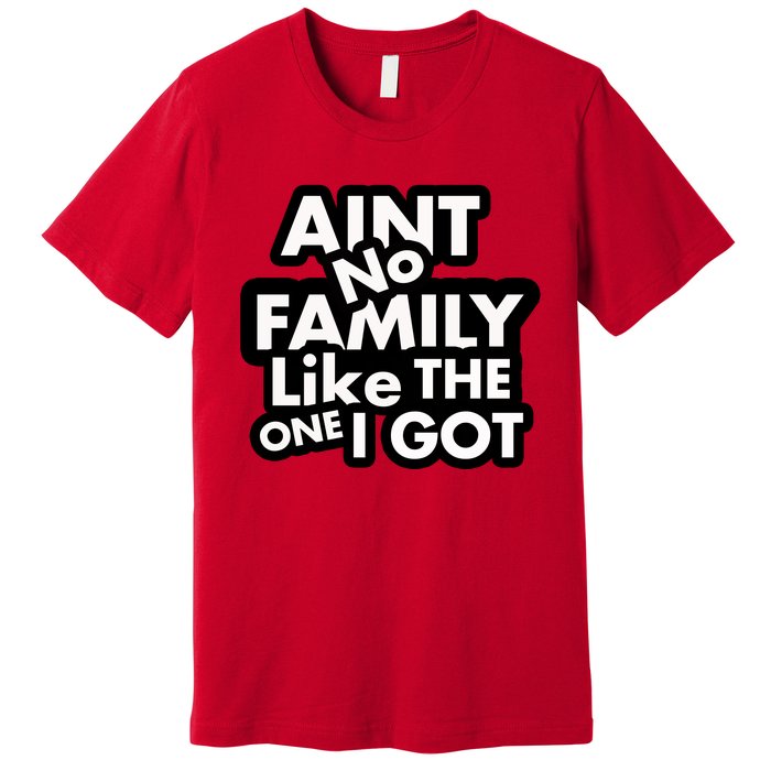 Ain't No Family Like The One I Got Premium T-Shirt