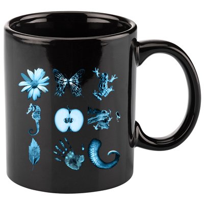 All Nine Glyphs Of Fringe 11oz C Handle Ceramic Mug