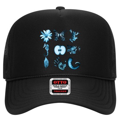 All Nine Glyphs Of Fringe Hat