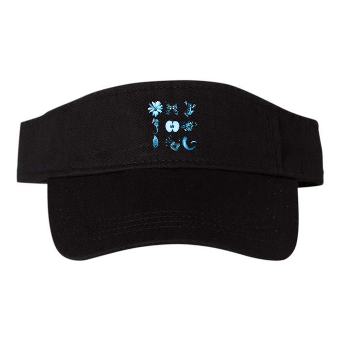 All Nine Glyphs Of Fringe Visor