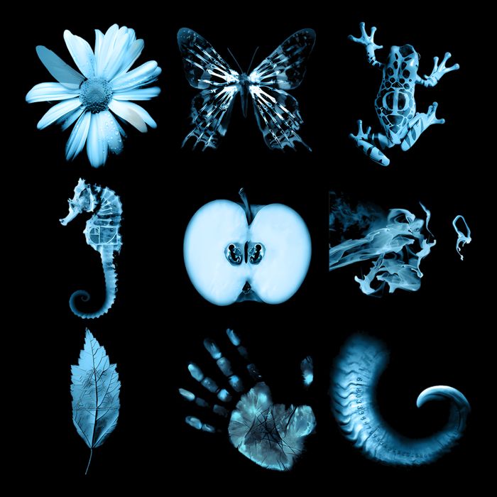 All Nine Glyphs Of Fringe Visor