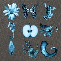 All Nine Glyphs Of Fringe Cotton Canvas Backpack