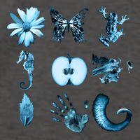 All Nine Glyphs Of Fringe Vector Backpack