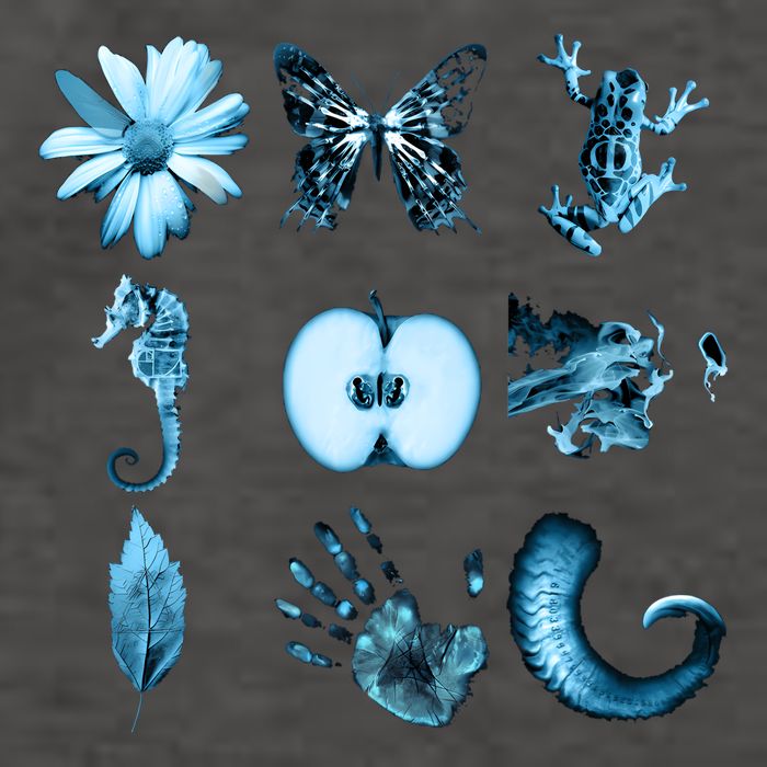 All Nine Glyphs Of Fringe Vector Backpack