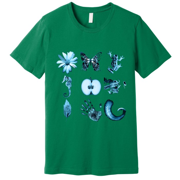 All Nine Glyphs Of Fringe Premium T-Shirt