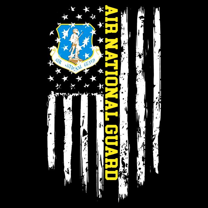 Air National Guard American Flag Impact Tech Backpack