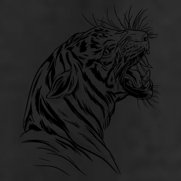 Angry Tiger Adult Drive Performance Visor
