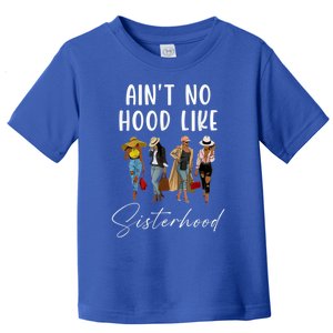 AinT No Hood Like Sisterhood Afro Sistas Black Gift Toddler T-Shirt