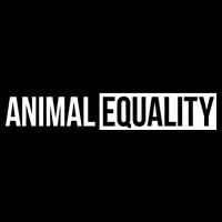 Animal Equality Backpack