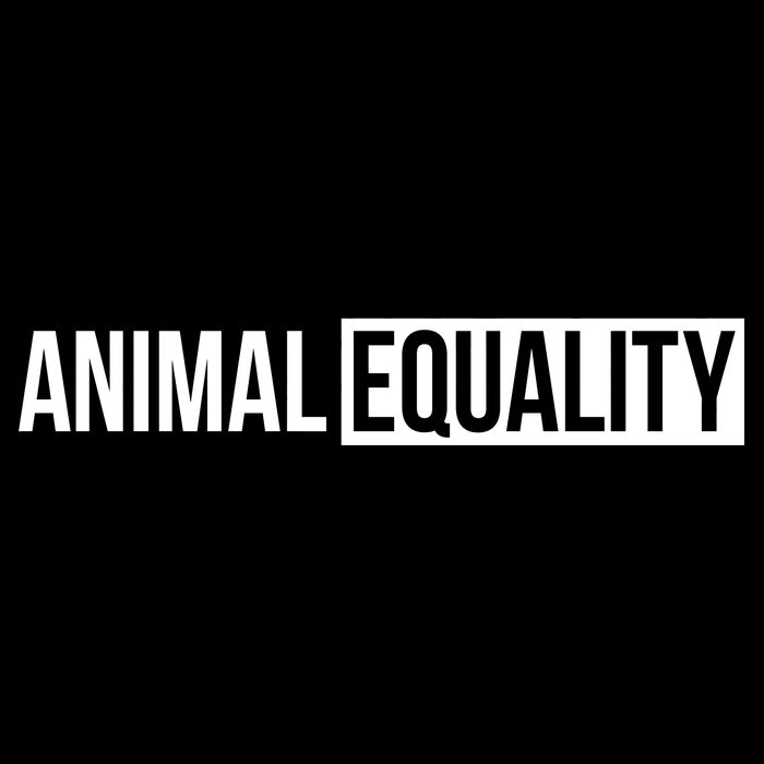 Animal Equality Wool Snapback Cap