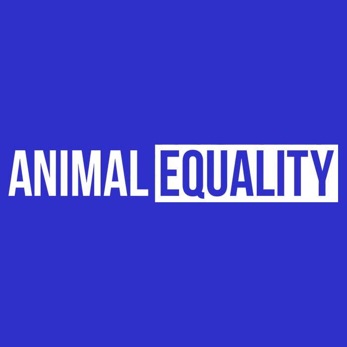 Animal Equality Hoodie