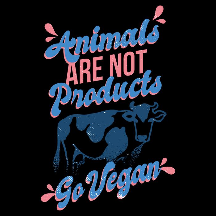 Animals Are Not Products Womens Tank Top