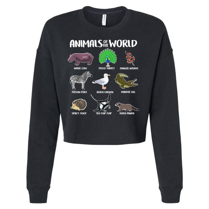 Animals Of The World Cropped Pullover Crew