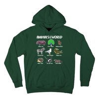 Animals Of The World Hoodie