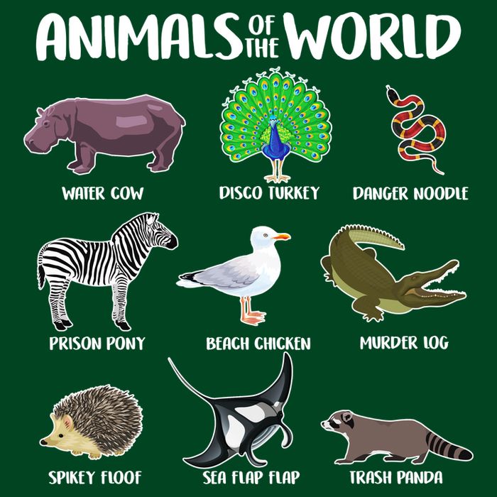 Animals Of The World Sweatshirt