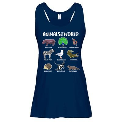 Animals Of The World Ladies Essential Flowy Tank