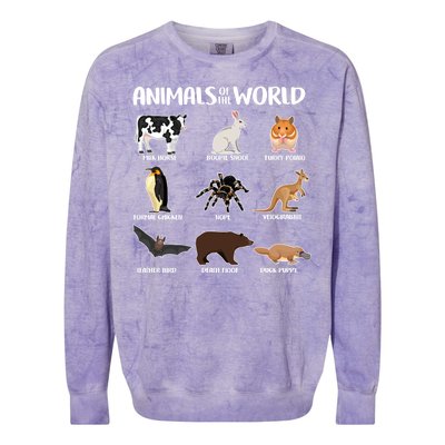 Animals Of The World Funny Names Colorblast Crewneck Sweatshirt