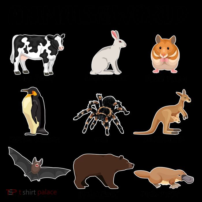Animals Of The World Funny Names Mug