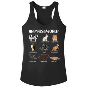 Animals Of The World Funny Names Ladies PosiCharge Competitor Racerback Tank