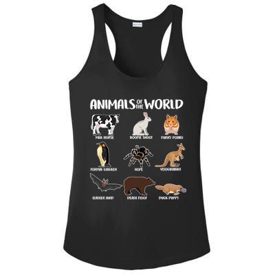 Animals Of The World Funny Names Ladies PosiCharge Competitor Racerback Tank