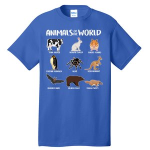 Animals Of The World Funny Names Tall T-Shirt