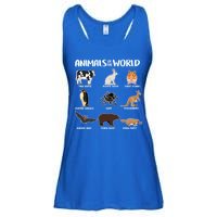 Animals Of The World Funny Names Ladies Essential Flowy Tank