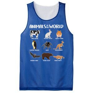 Animals Of The World Funny Names Mesh Reversible Basketball Jersey Tank