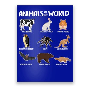 Animals Of The World Funny Names Poster