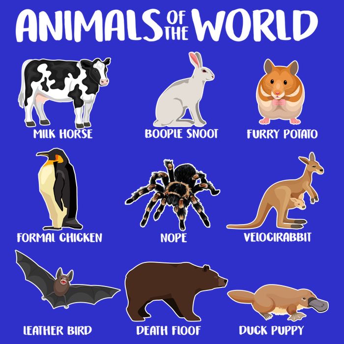 Animals Of The World Funny Names Baby Bodysuit